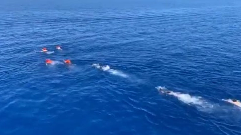 Alcuni migranti cercano di raggiungere a nuoto Lampedusa, inseguiti dai soccorritori 