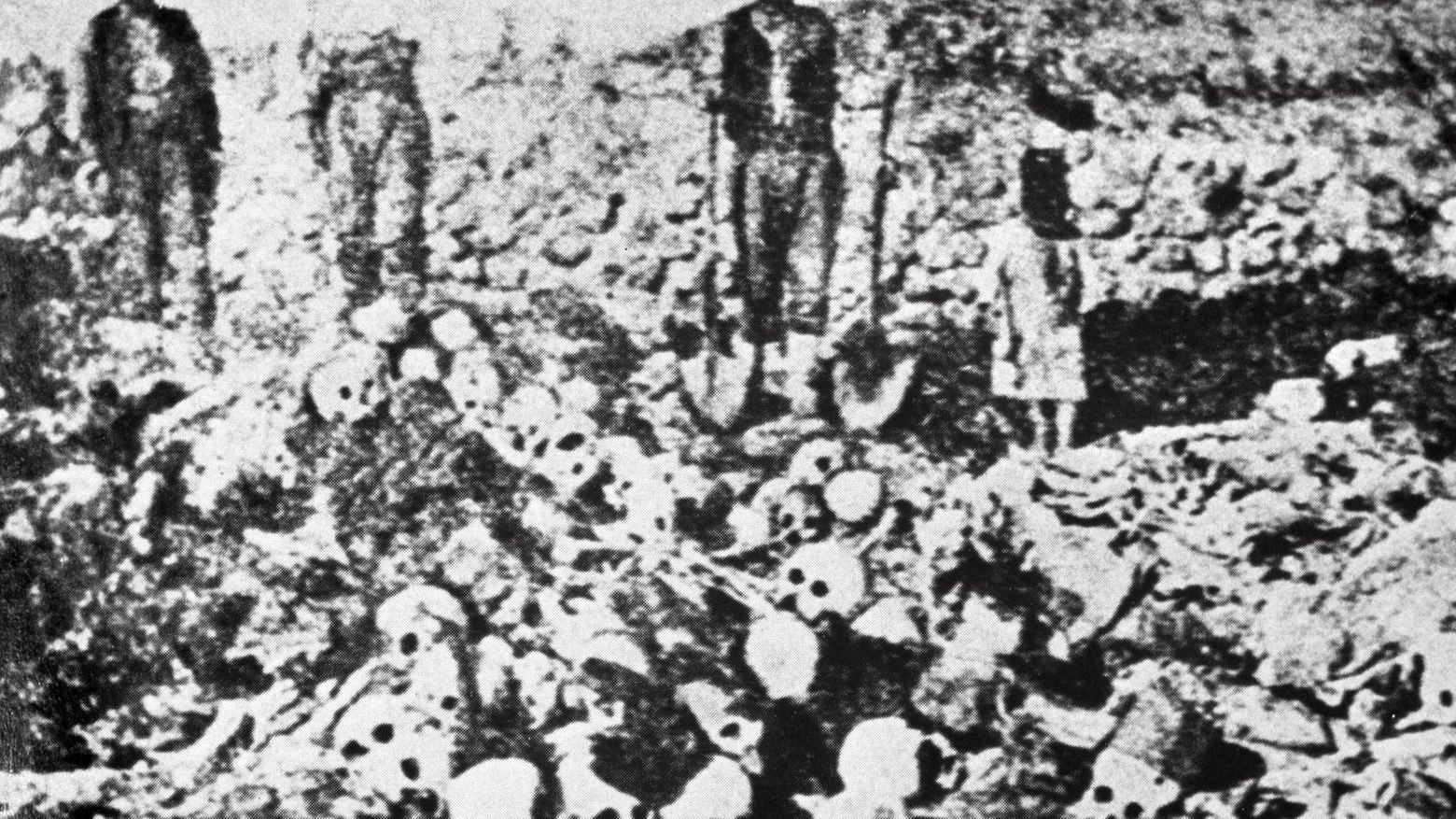 Il genocidio armeno (Ansa)
