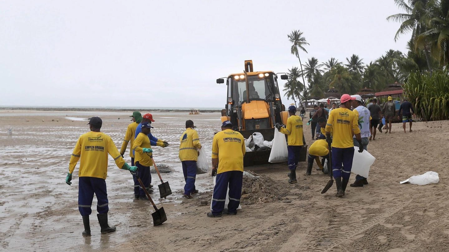 Misterioso petrolio sulle spiagge del Brasile, è allerta disastro ambientale (Ansa)