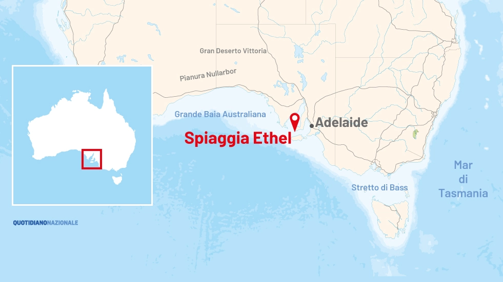 Australia: adolescente ucciso da uno squalo nel paradiso dei surfisti a Ethel Beach