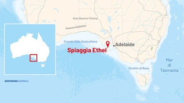 Australia, media: adolescente ucciso da uno squalo a Ethel Beach, paradiso dei surfisti