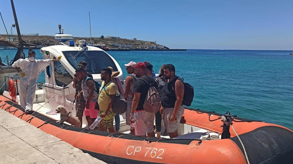 Lampedusa, tra i migranti anche un barboncino (Ansa)