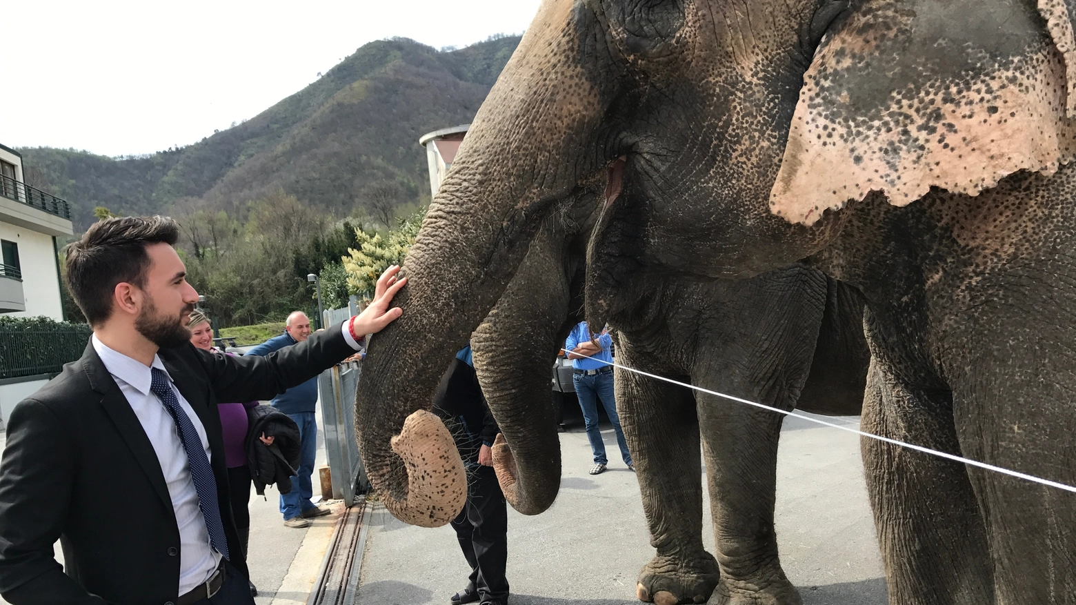 Bernini con un elefante del circo