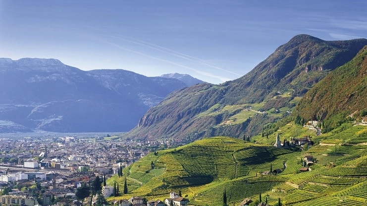 Le vigne sopra Bolzano