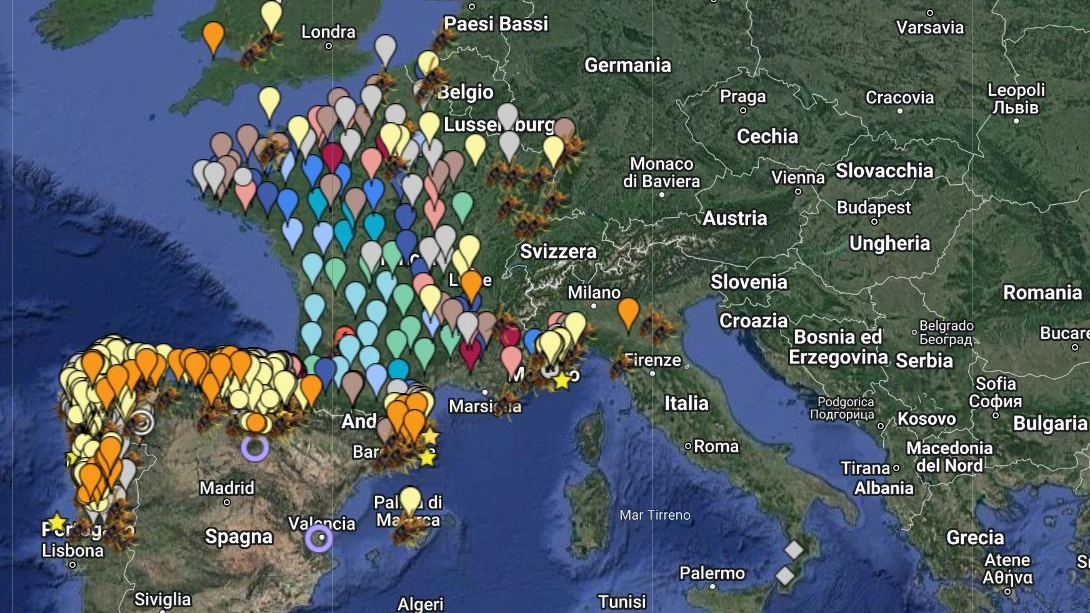 Vespa velutina (o calabrone asiatico): la mappa dell'espansione in Europa (StopVelutina)