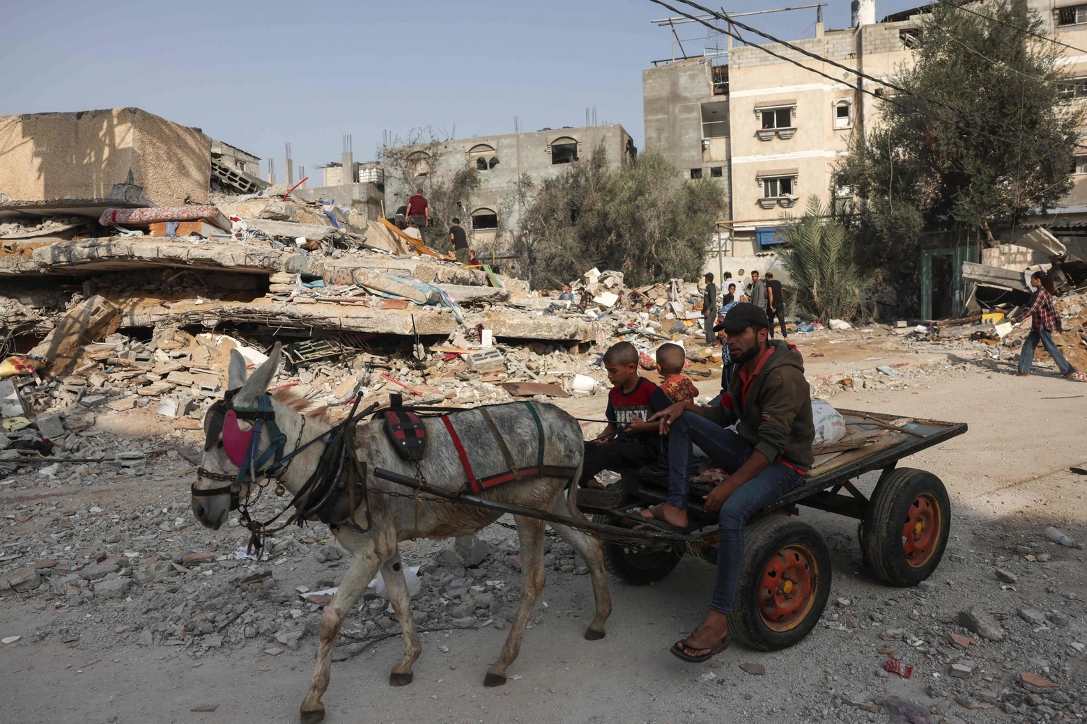 Rafah, sud di Gaza: palestinesi usano un carro trainato da un asino per spostarsi. Il carburante è finito (Ansa)