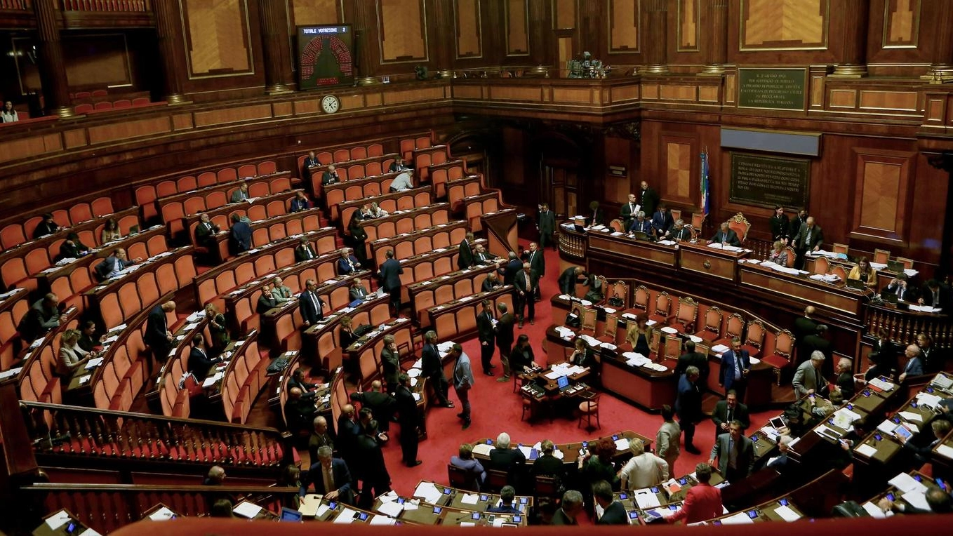 L'Aula del Senato(Ansa)