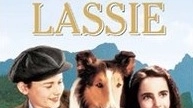 La locandina dello storico 'Torna a casa Lassie'