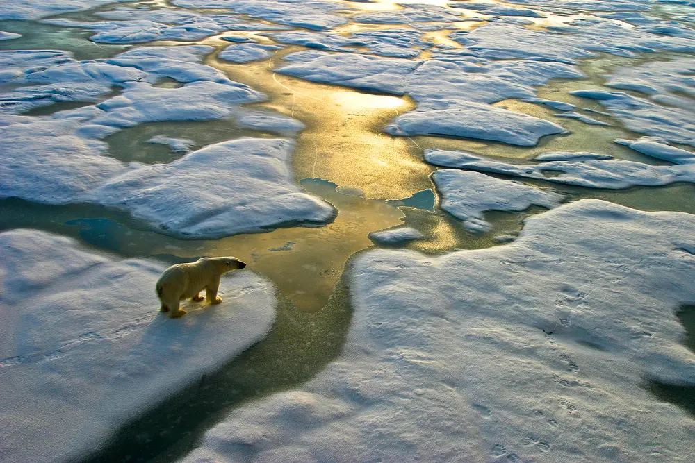 Clima, il 2020 è stato l’anno più disastroso di sempre. E il 2021 sarà ancora peggio