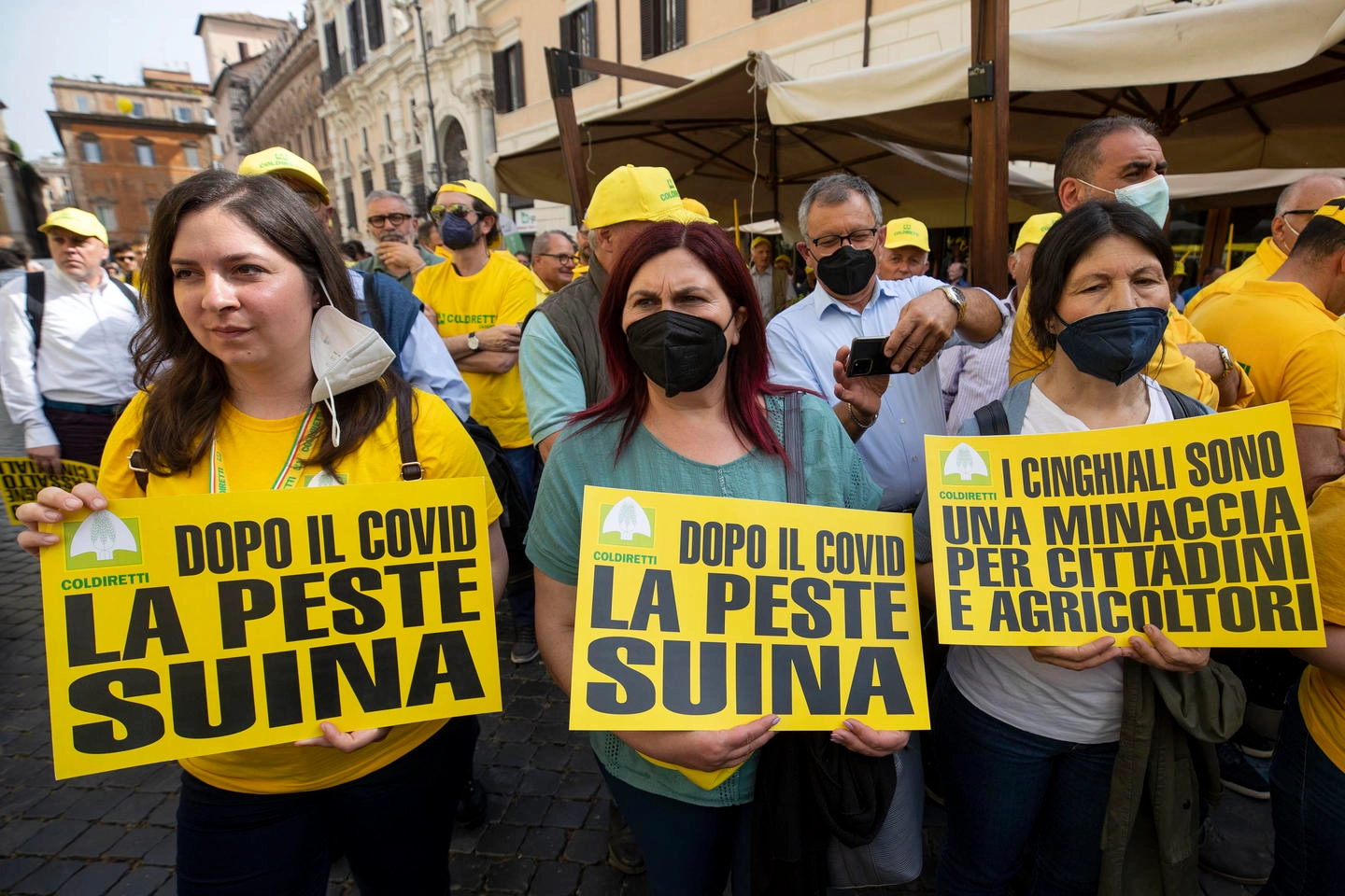 La manifestazione ''Peste suina #bastacinghiali'' organizzata della Coldiretti a Roma
