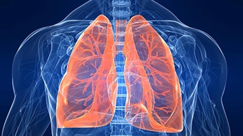Polmone, fibrosi polmonare