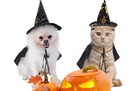 Costumi di Halloween su amazon.com