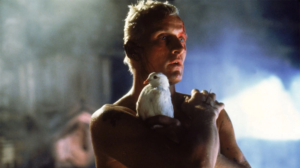 Una scena di 'Blade Runner' (1982) – Foto: Warner Bros.