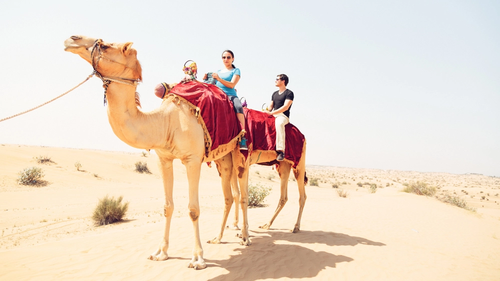 Un tour in cammello a Dubai è l'esperienza più apprezzata del mondo per Tripadvisor