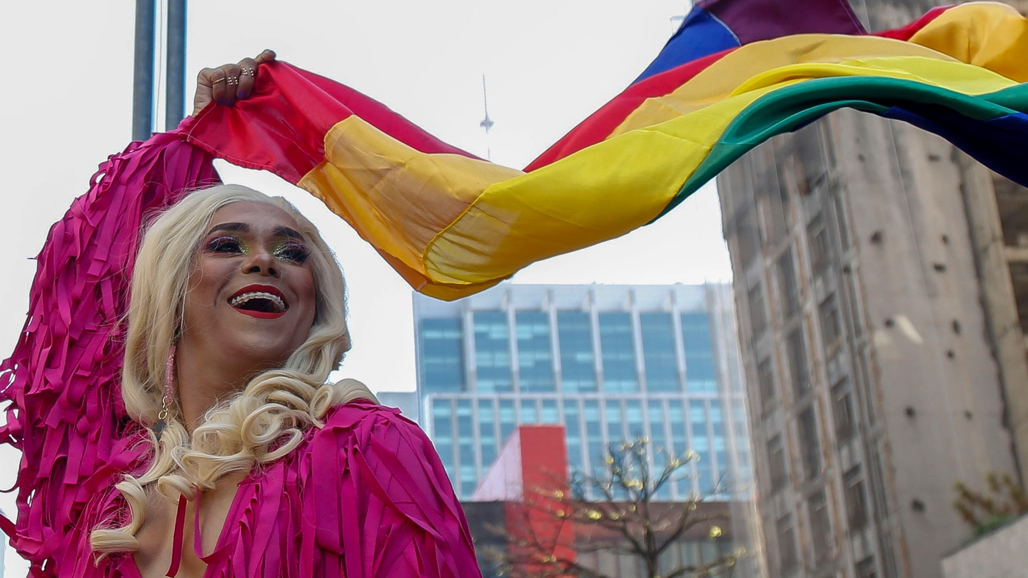 Un momento del 'Gay Pride' di San Paolo, in Brasile (LaPresse)