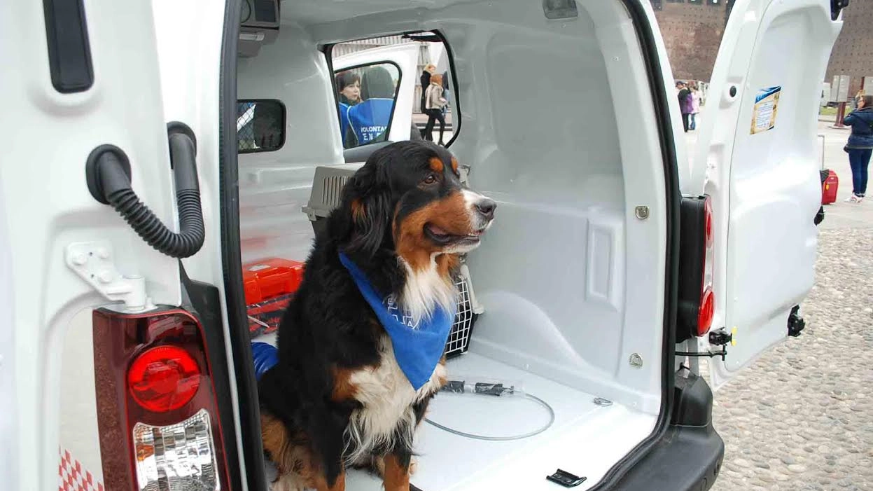 Cane in uno dei furgoni attrezzati