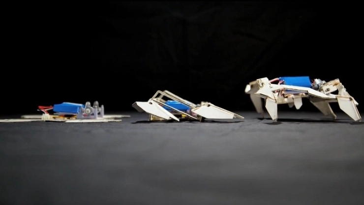Nella sequenza il mini robot prende forma e si muove autonomamente