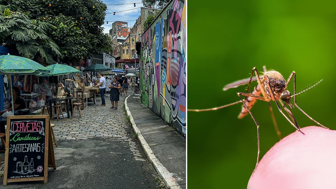Dengue in Brasile, i numeri choc dell’epidemia