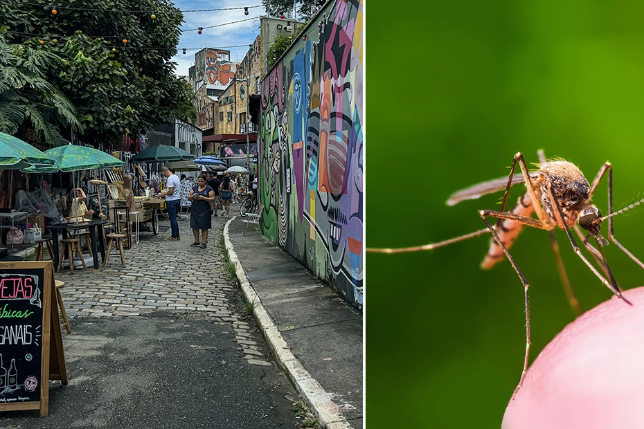 Epidemia di Dengue in Brasile: superati i 4 milioni di casi