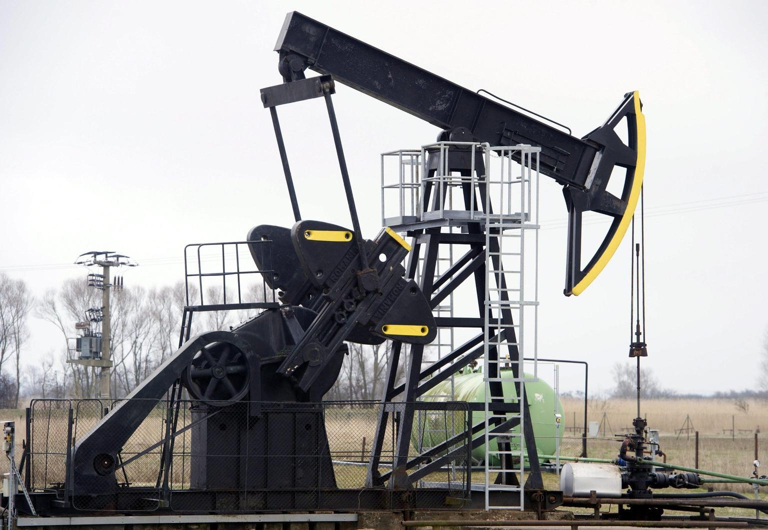 Il petrolio chiude in calo a New York a 65,11 dollari Il petrolio chiude in calo a New York a 65,11 dollari