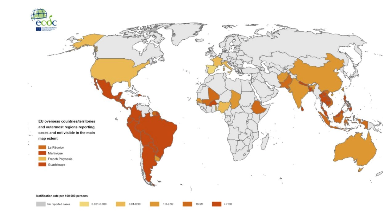 Virus Dengue, la mappa dell'Ecdc