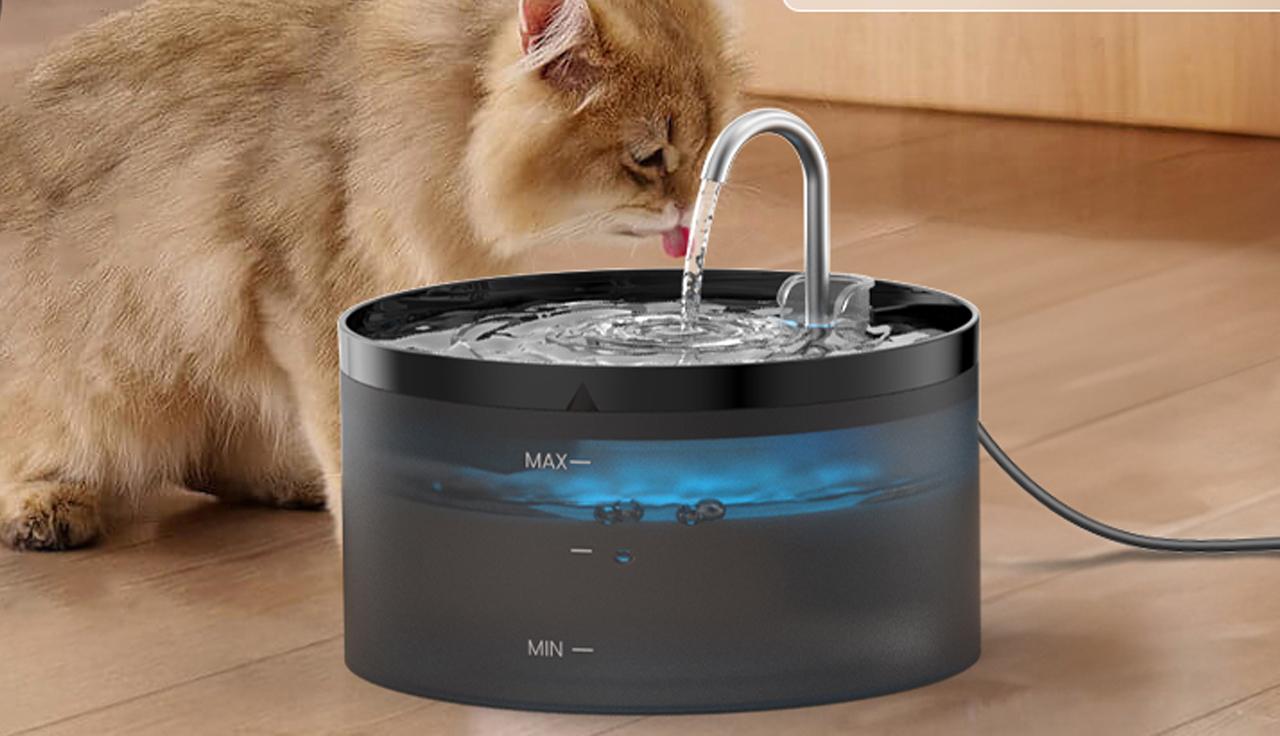 acqua sempre fresca per il tuo gatto con questa fontanella 40 di sconto