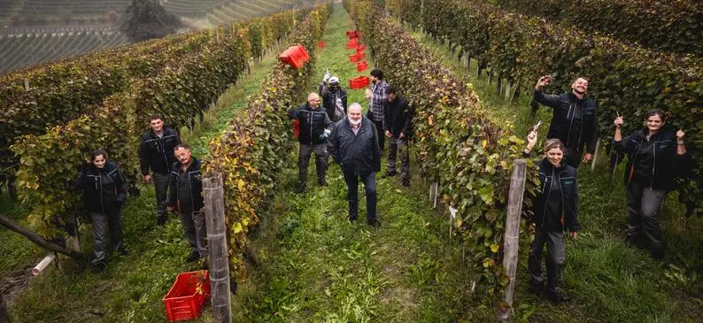 Ascheri: brindisi alle Langhe. Nel calice una soave sinfonia