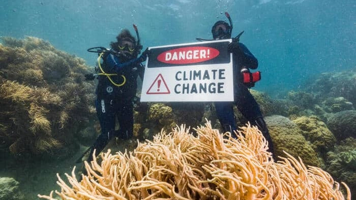 La barriera corallina è messa a dura prova dal cambiamento climatico