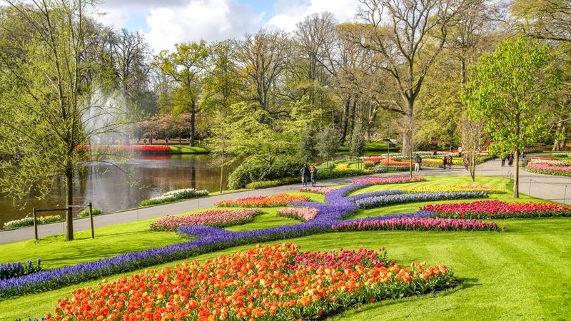 A Lisse, nel giardino di un castello, oltre 7 milioni di fiori da ammirare lungo 15 chilometri di sentieri. Una mostra floreale mozzafiato