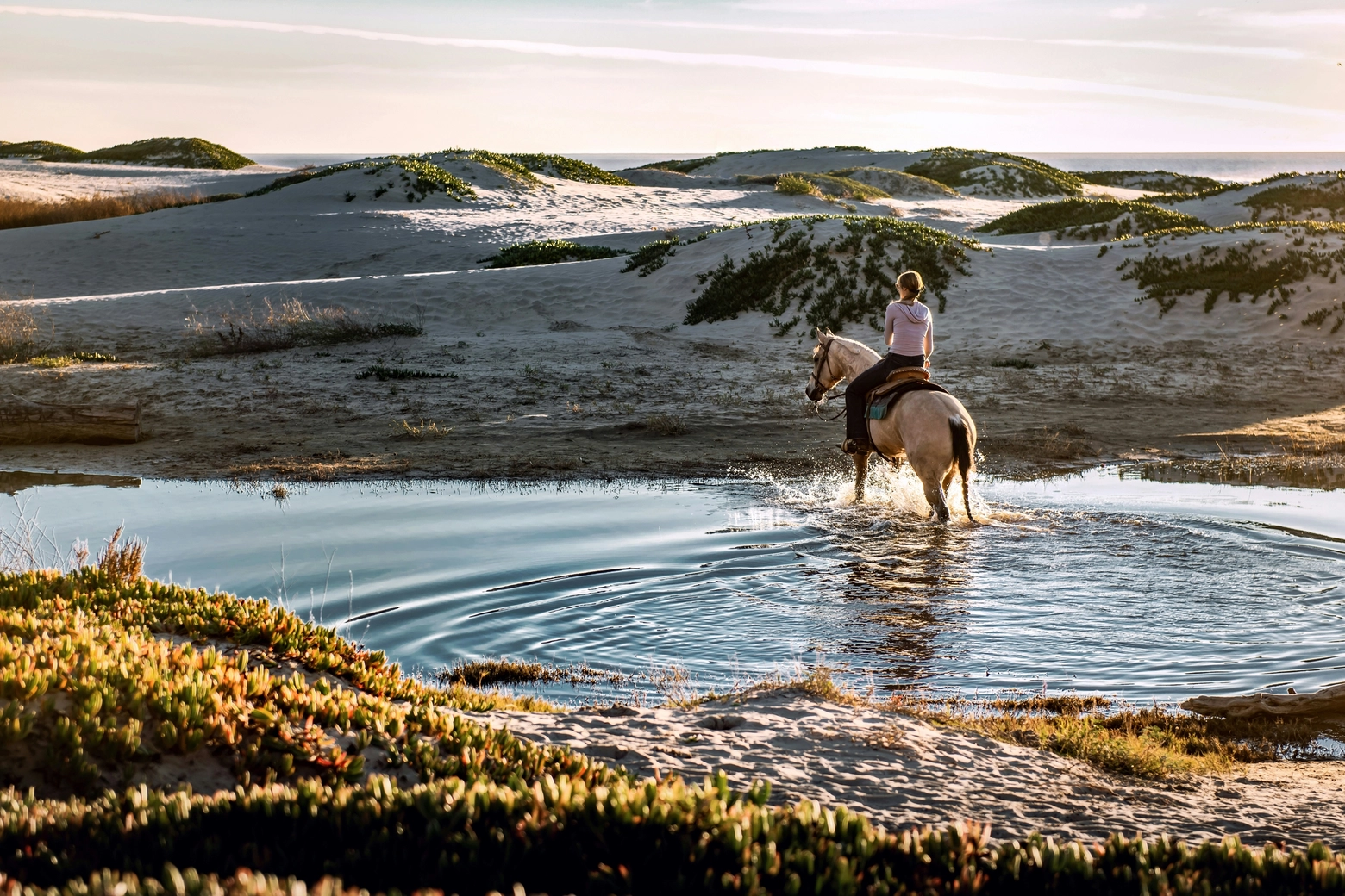Cresce il turismo con itinerari da compiere a cavallo