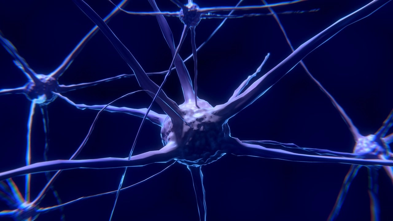 Età biologica e invecchiamento: incide sull'intelligenza? Età biologica e invecchiamento: incide sull'intelligenza?