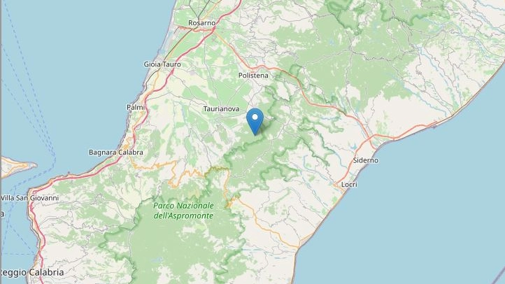 Terremoto a Reggio Calabria: epicentro tra Cittanova e Molochio