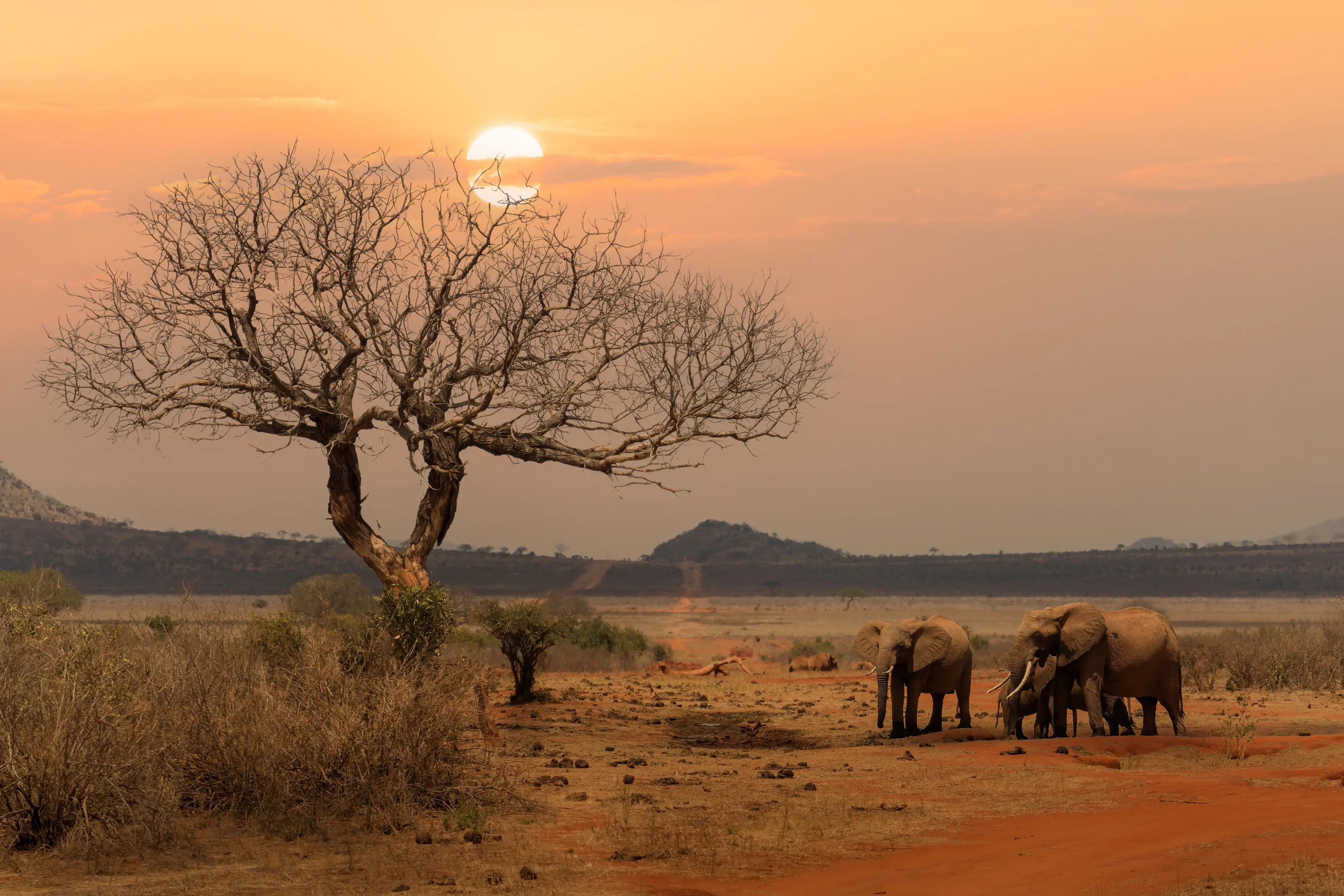 Kenya tra savana e oceano: due anime di un’unica destinazione