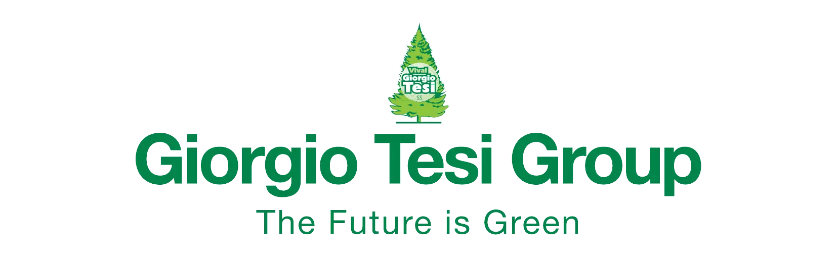 Giorgio tesi group