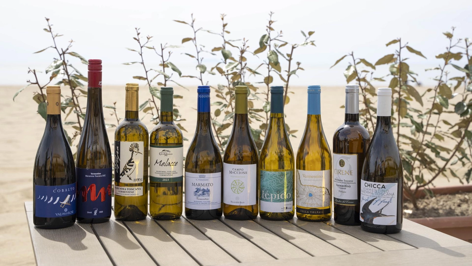 La quinta edizione del concorso promosso dal Consorzio di tutela per valorizzare il vitigno bianco autoctono, presente in oltre il 30% dei vini della denominazione