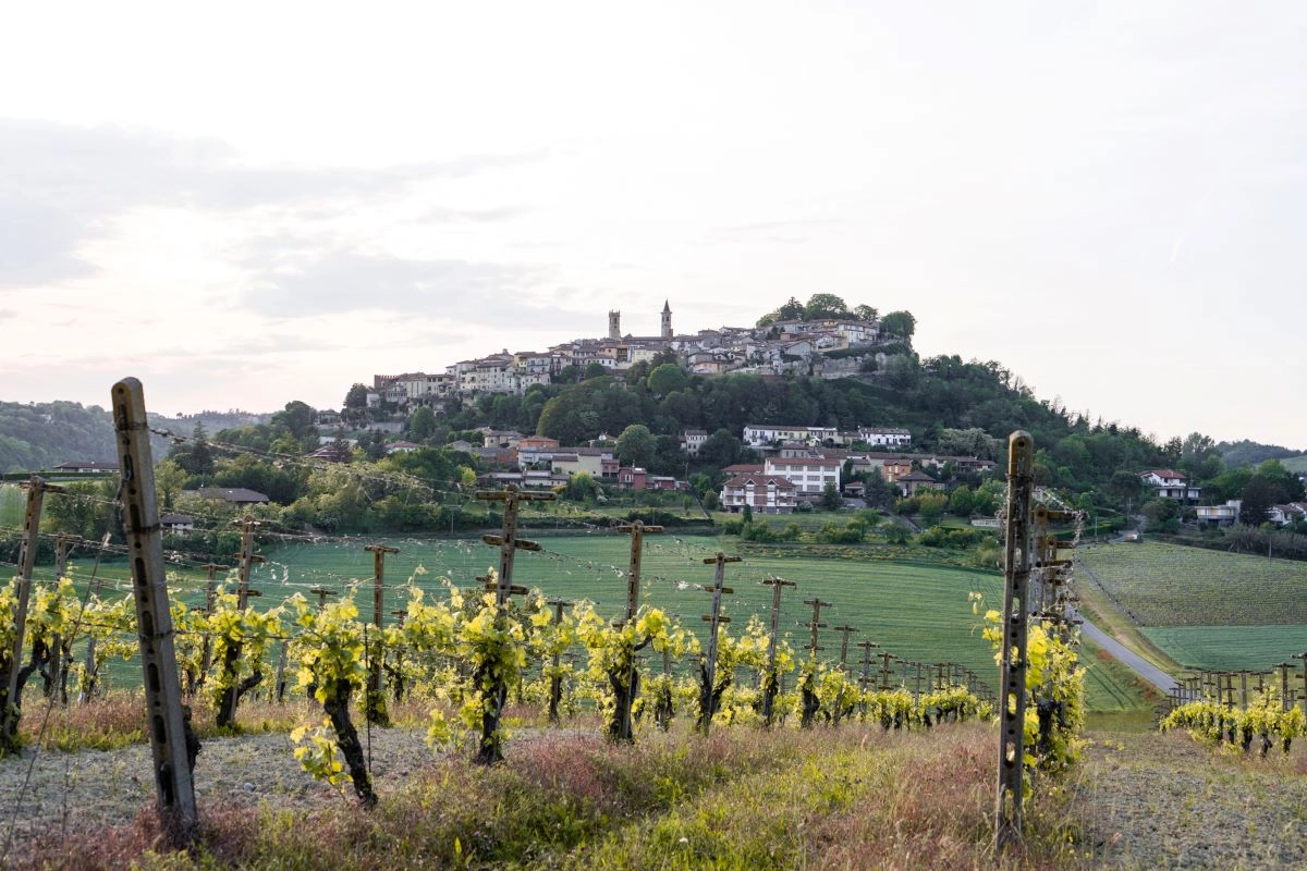 Paesaggio in Monferrato, tra vigne e paesi