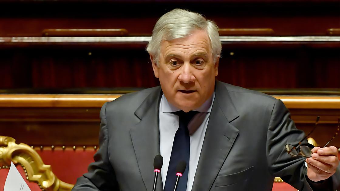 Tajani in Senato: "Ci siamo mossi subito con equilibrio e fermezza"