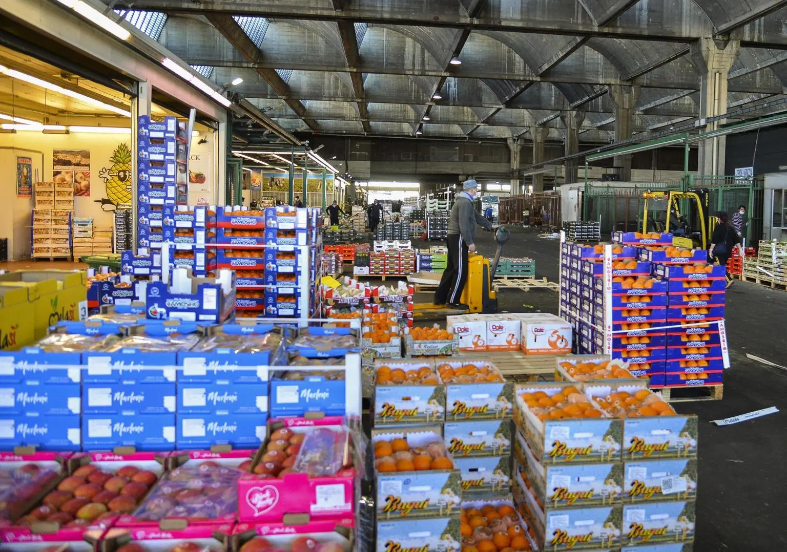 Sicurezza e investimenti al Mercato Alimentare di Milano: Sogemi risponde alle polemiche