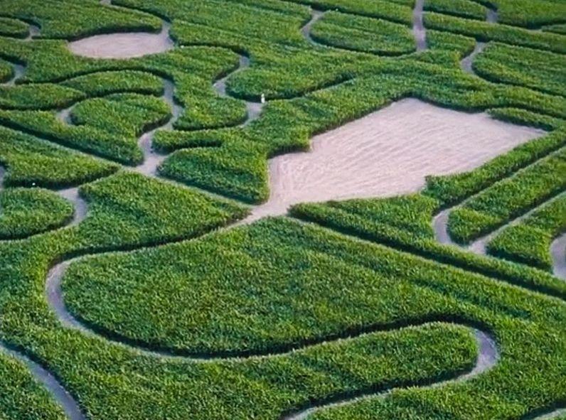 Perdersi e... ritrovarsi. Parte il grande viaggio nei labirinti di mais Perdersi e... ritrovarsi. Parte il grande viaggio nei labirinti di mais