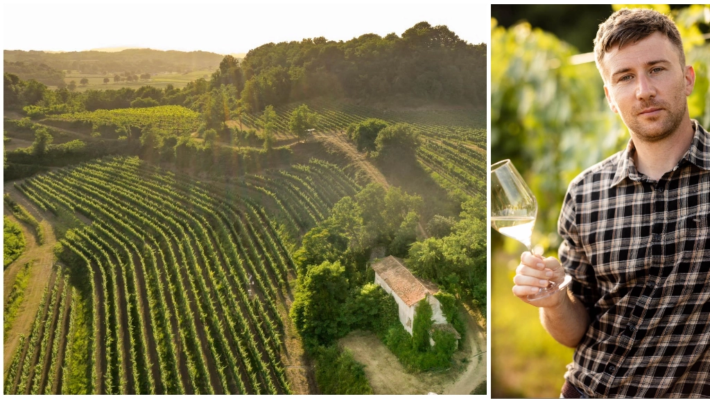 PREZZI&QUALITA’ – La storica cantina del Collio goriziano, oggi proprietà della famiglia Frescobaldi, vanta 44 ettari coltivati a Ribolla Gialla, Sauvignon Blanc, Pinot Grigio e Chardonnay