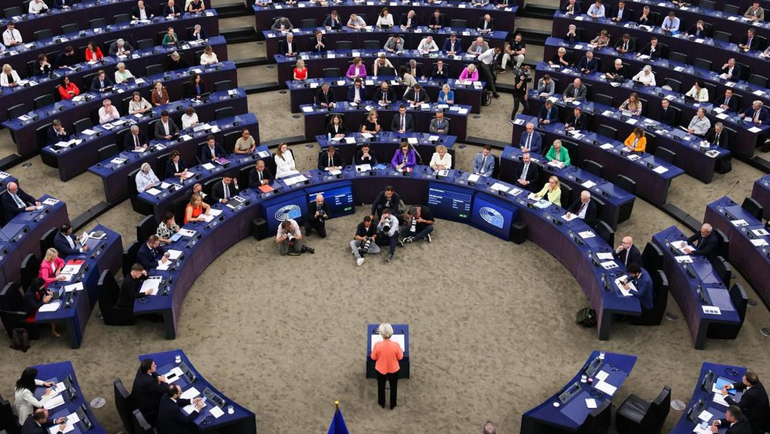 Germania, arrestato assistente di eurodeputato Afd: “Spia della Cina”
