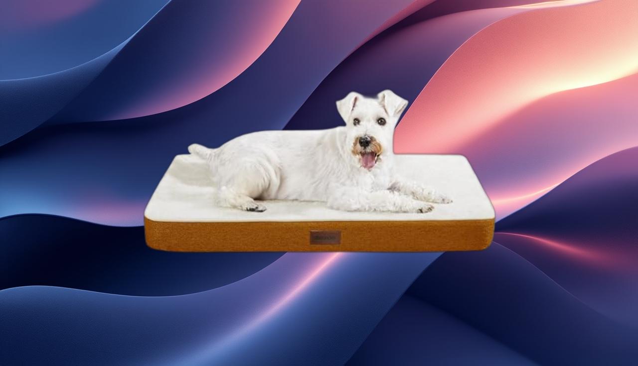 regala al tuo cane sonnellini da re cuccia antiscivolo al 61 di sconto da Quotidiano.net regala al tuo cane sonnellini da re cuccia antiscivolo al 61 di sconto