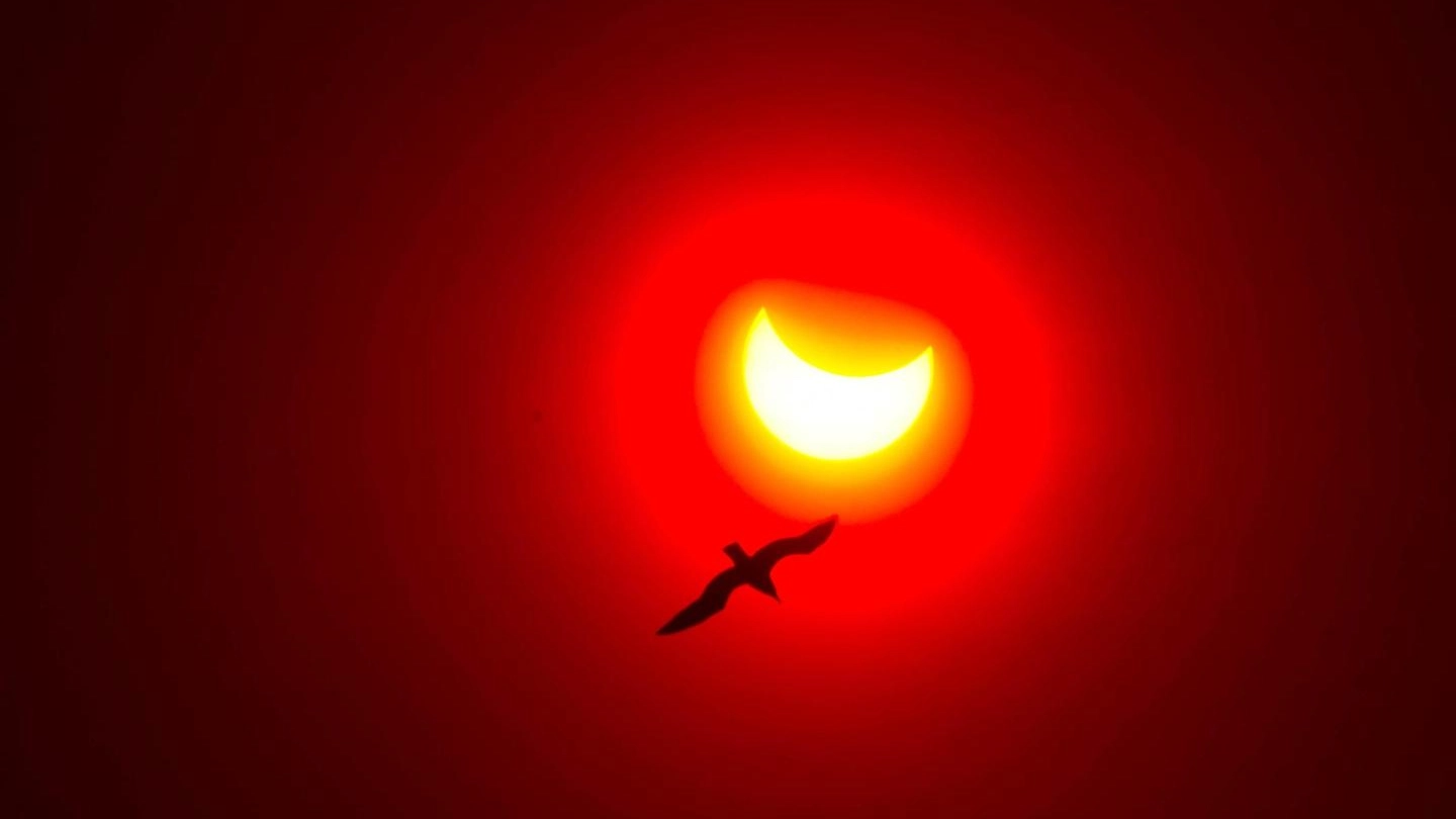 L’8 aprile 2024 è prevista l'eclissi totale di Sole più lunga del secolo. Questo fenomeno astronomico sta suscitando grande attenzione e preparativi da parte delle autorità e dei residenti nelle zone coinvolte
