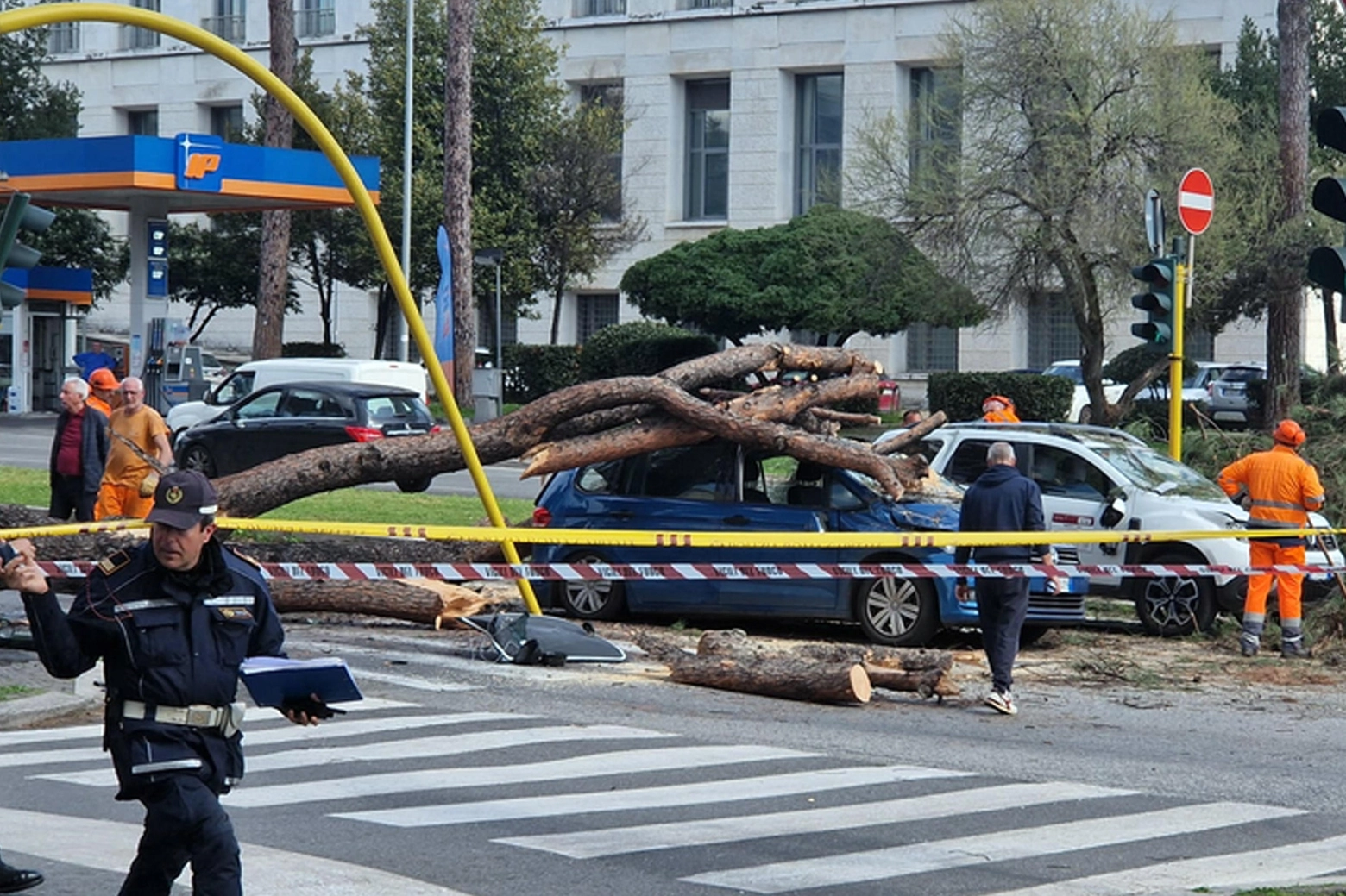 Il grosso pino crollato sulla Cristoforo Colombo a Roma