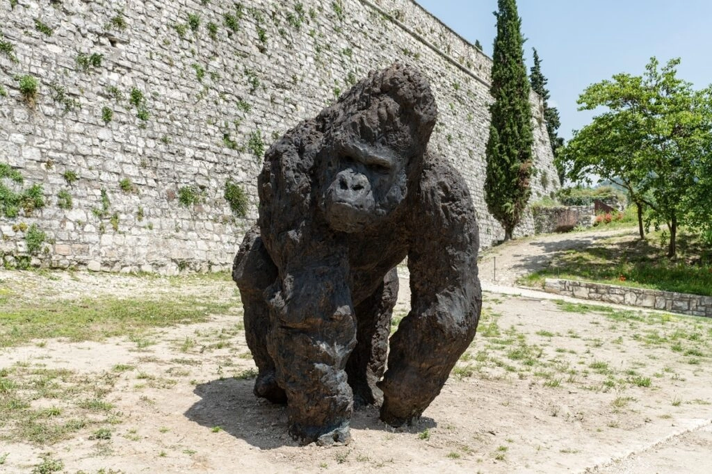Gorilla di Davie Rivalta