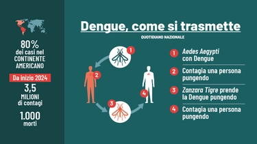 Dengue in Italia, Bassetti: “Agire subito”. L’America prevede la peggiore epidemia della storia