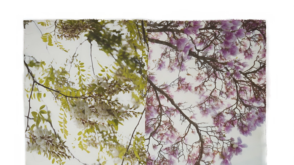 Stampe in seta e viscosa di iris, orchidee, camelie e gardenie caratterizzano la collezione primavera-estate ideata da Monica Sarti. Un inno alla natura in attesa della stola che si trasforma in pareo