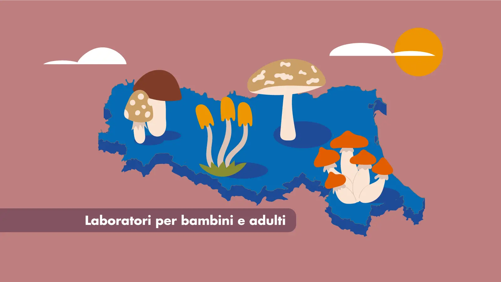 Agrofutura Lab | Funghi 