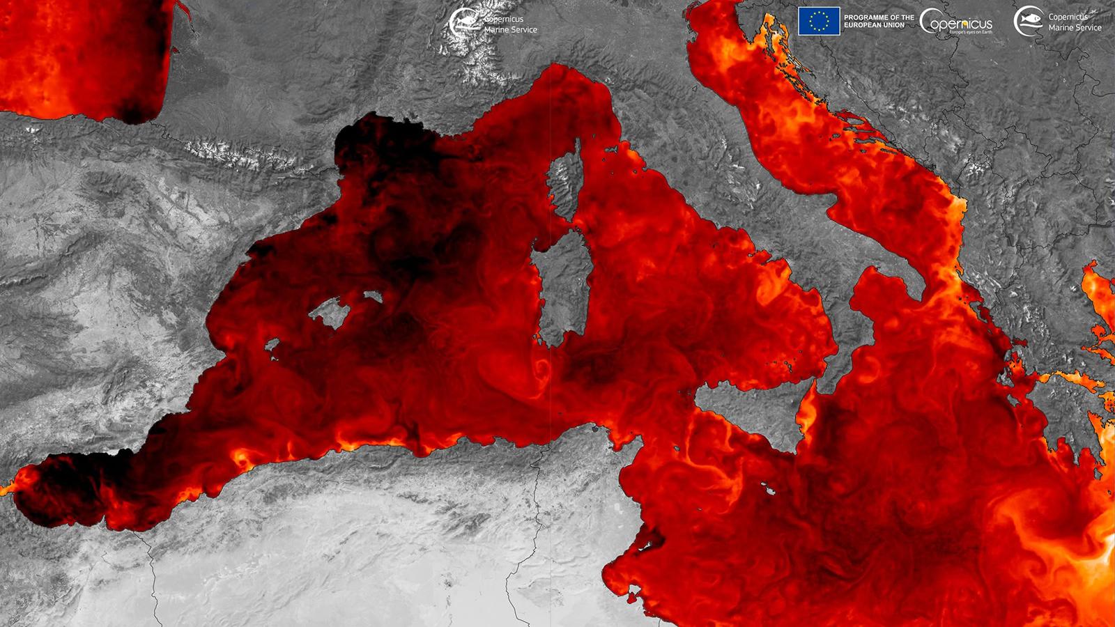 Il Mediterraneo si scalda più di altri mari e non raffredda più la terraferma Il Mediterraneo si scalda più di altri mari e non raffredda più la terraferma
