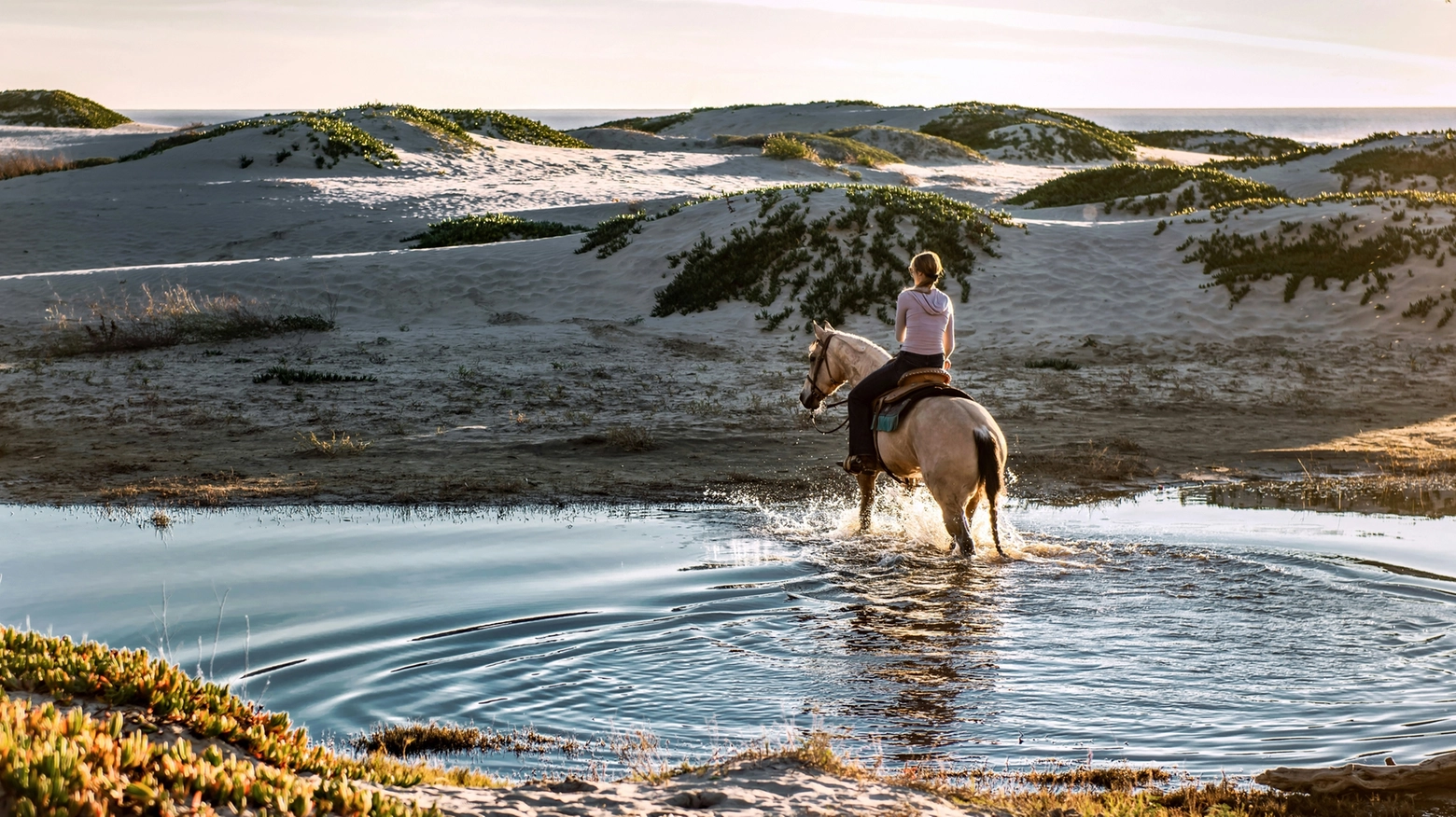 Cresce il turismo con itinerari da compiere a cavallo